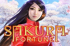 Sakura Fortune